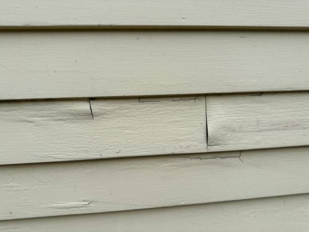 Best Shed Removal  in Portageville, MO